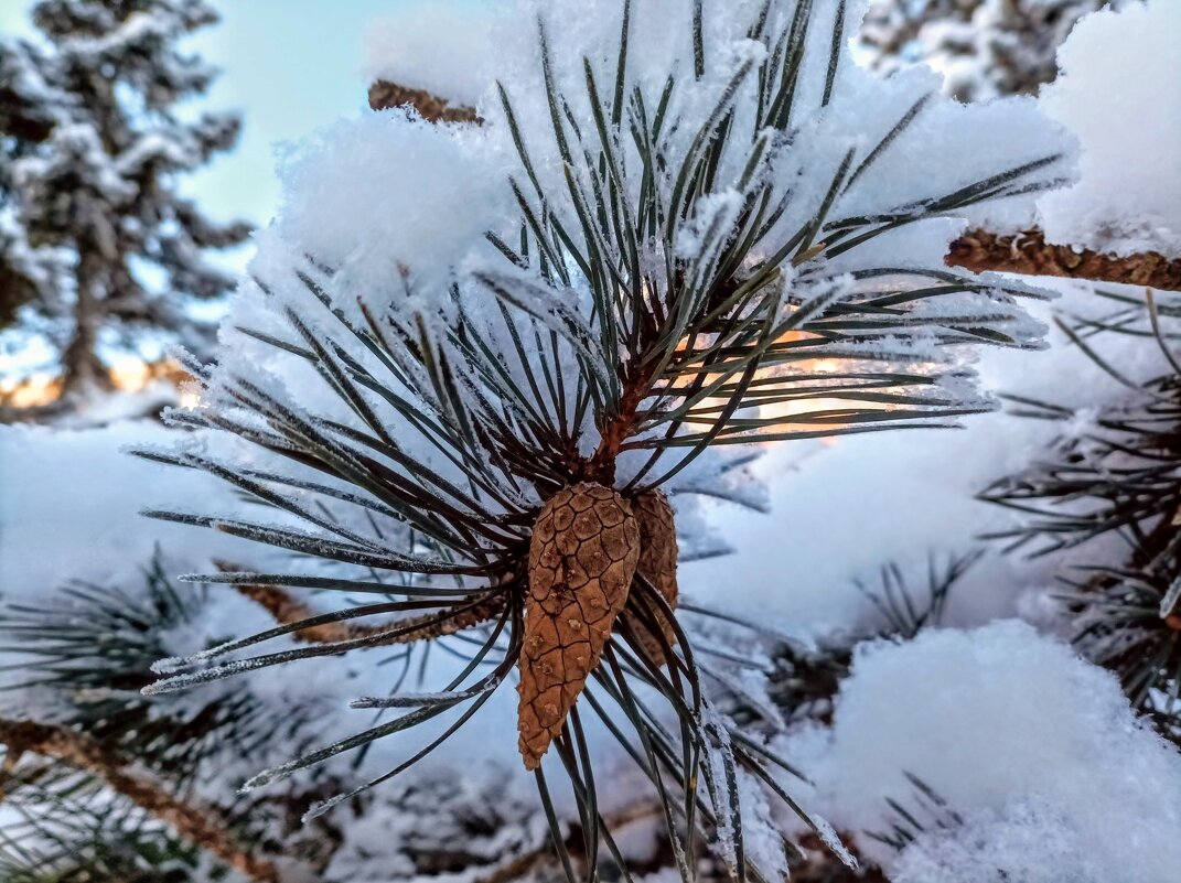 В парке Тондилоо - Veera V