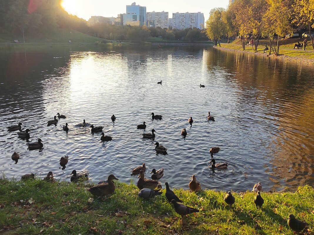 Серия Сашиных работ была  отмечена  на  конкурсе - Фотогруппа Весна