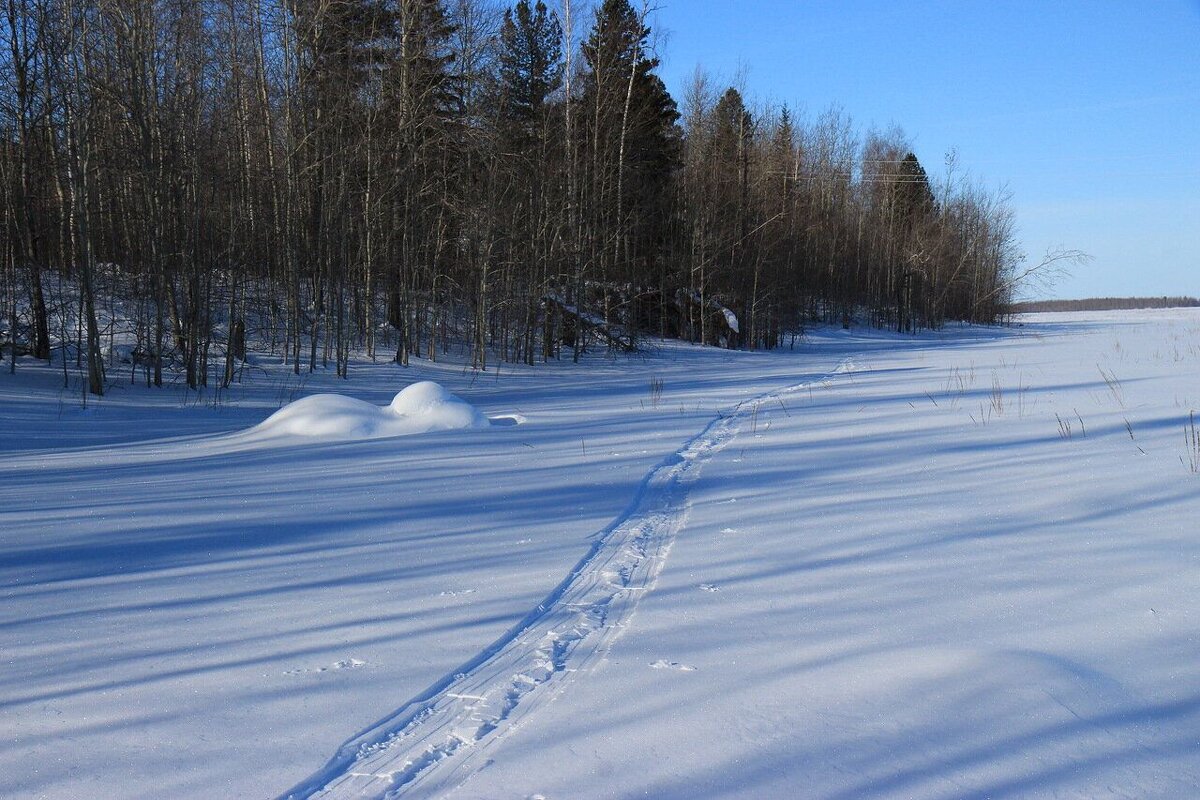 Март...Мой лыжный след на протоке Чеускина! - Владимир 