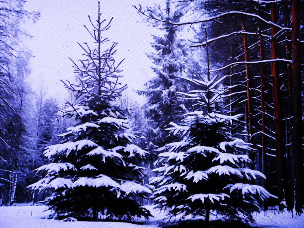 Лесные красавицы - Людмила Смородинская