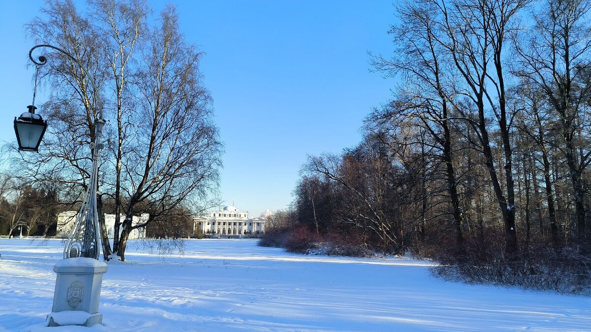 Февральский день на Елагином острове. - Ольга 