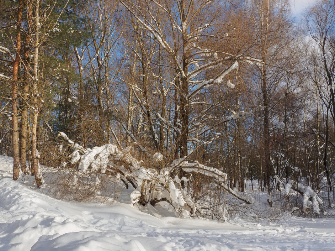 Просто наступила зима. - Николай 