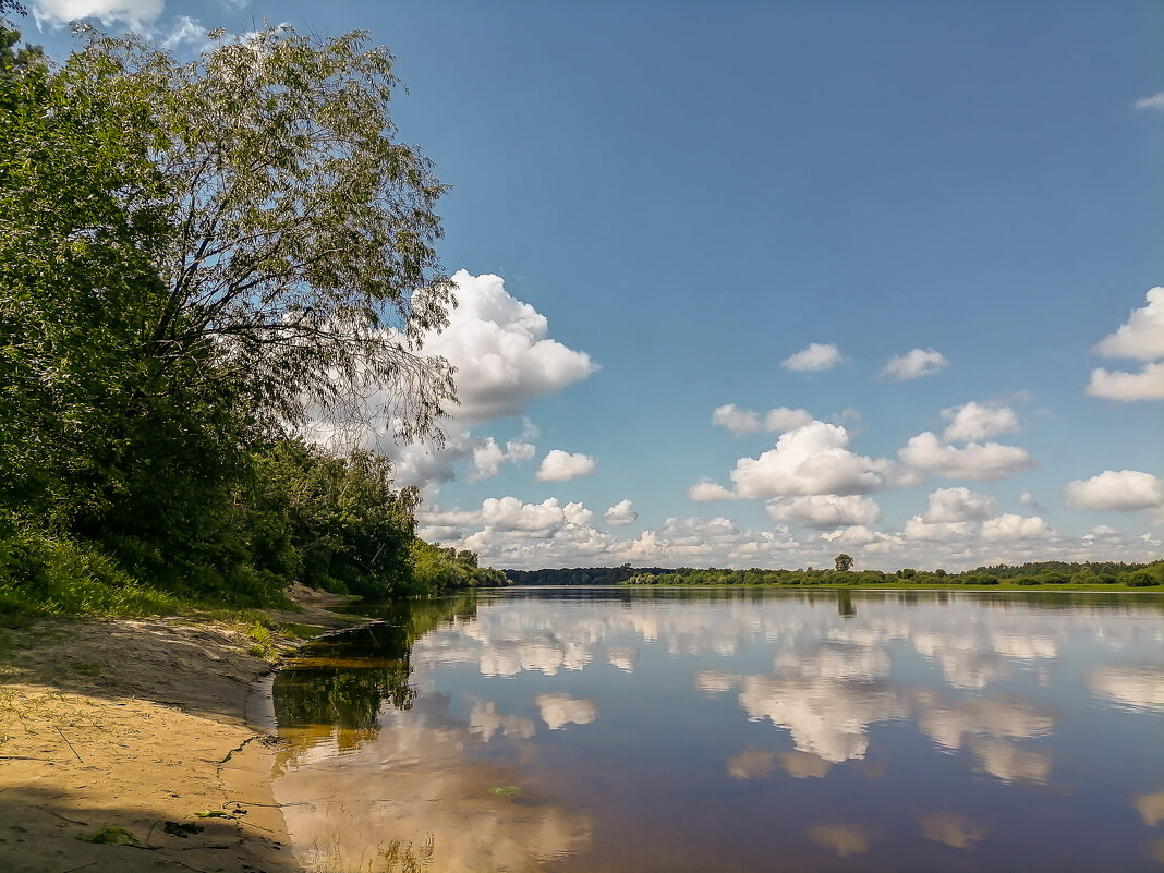 Летний полдень - Виктор Позняков