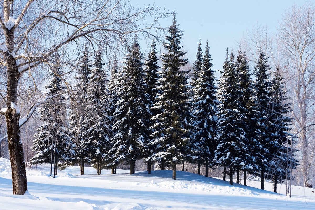 *** - Владимир Безбородов