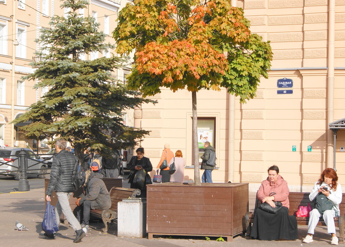 ОСЕНЬ на Сенной площади - Виктор Никитенко