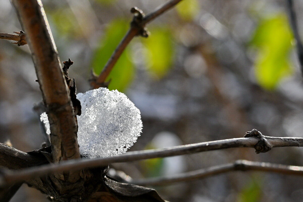 Всё что осталось... - Николай Саржанов