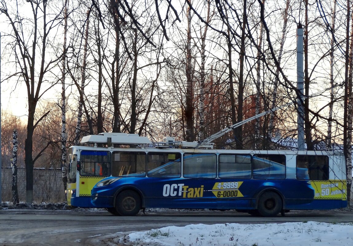 Интересный троллейбус - Наталья ***