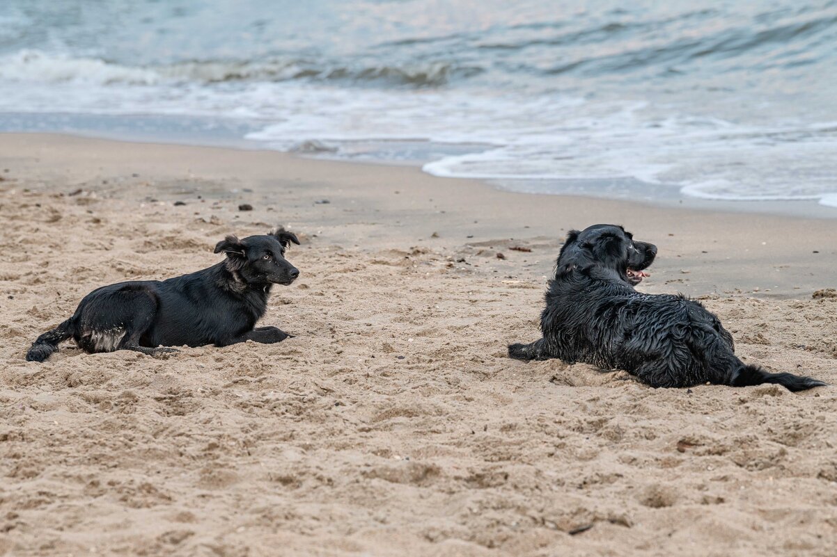 "О боже, какой мужчина!" - Константин Бобинский