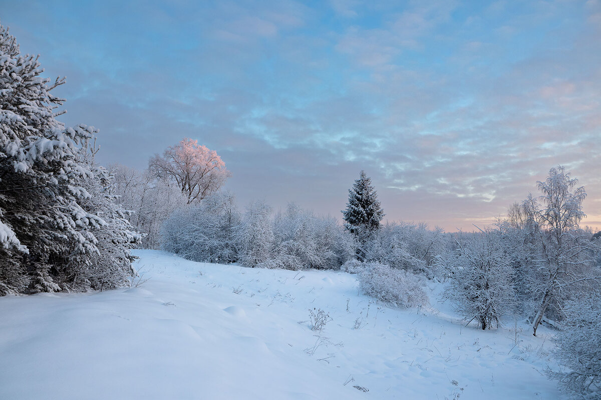 Январь. Вечереет. - Андрей Дурапов