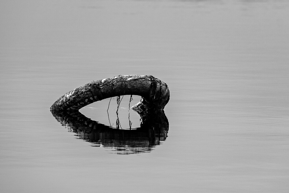 Сердце - Владимир А.Р. 