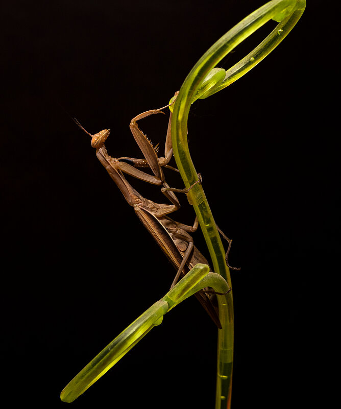 покоряя вершины - Aleksandr 