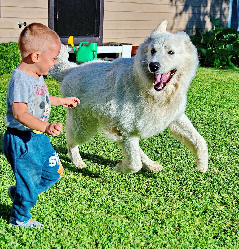 СЕЙЧАС В МОРДАШКУ Я ЛИЗНУ! - Виталий Половинко