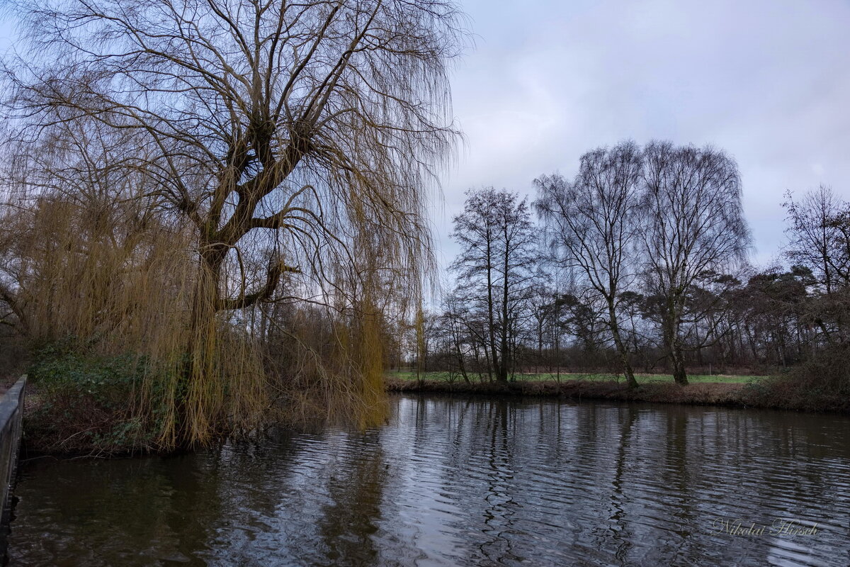 *** - Николай Гирш