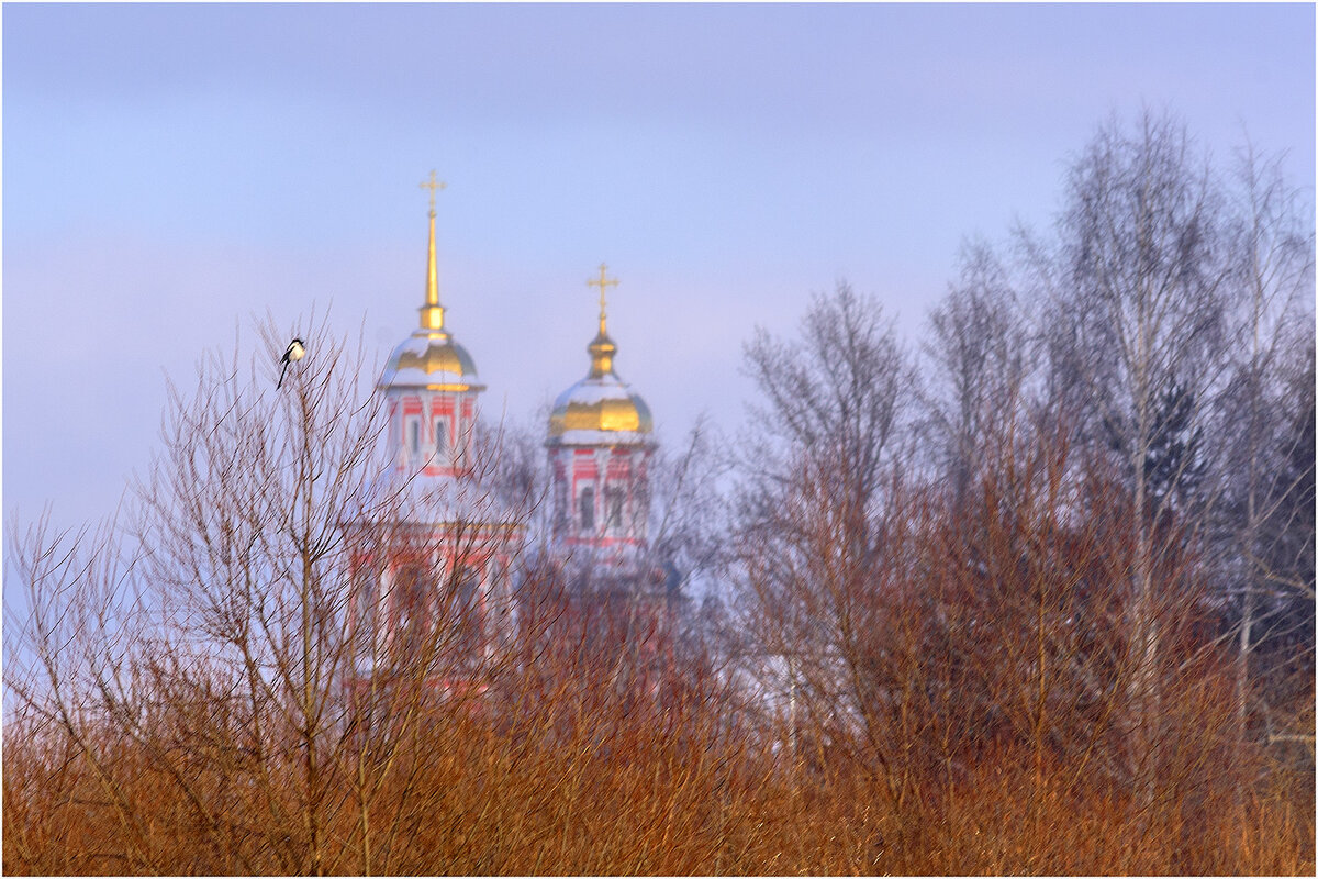 Родное - Валентин Котляров