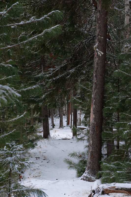 # - Михаил Славный