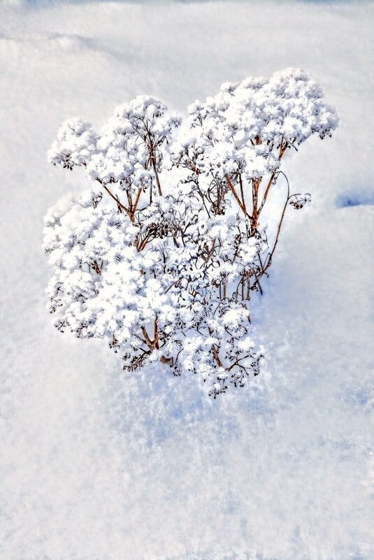 В парке Тондилоо - Veera V