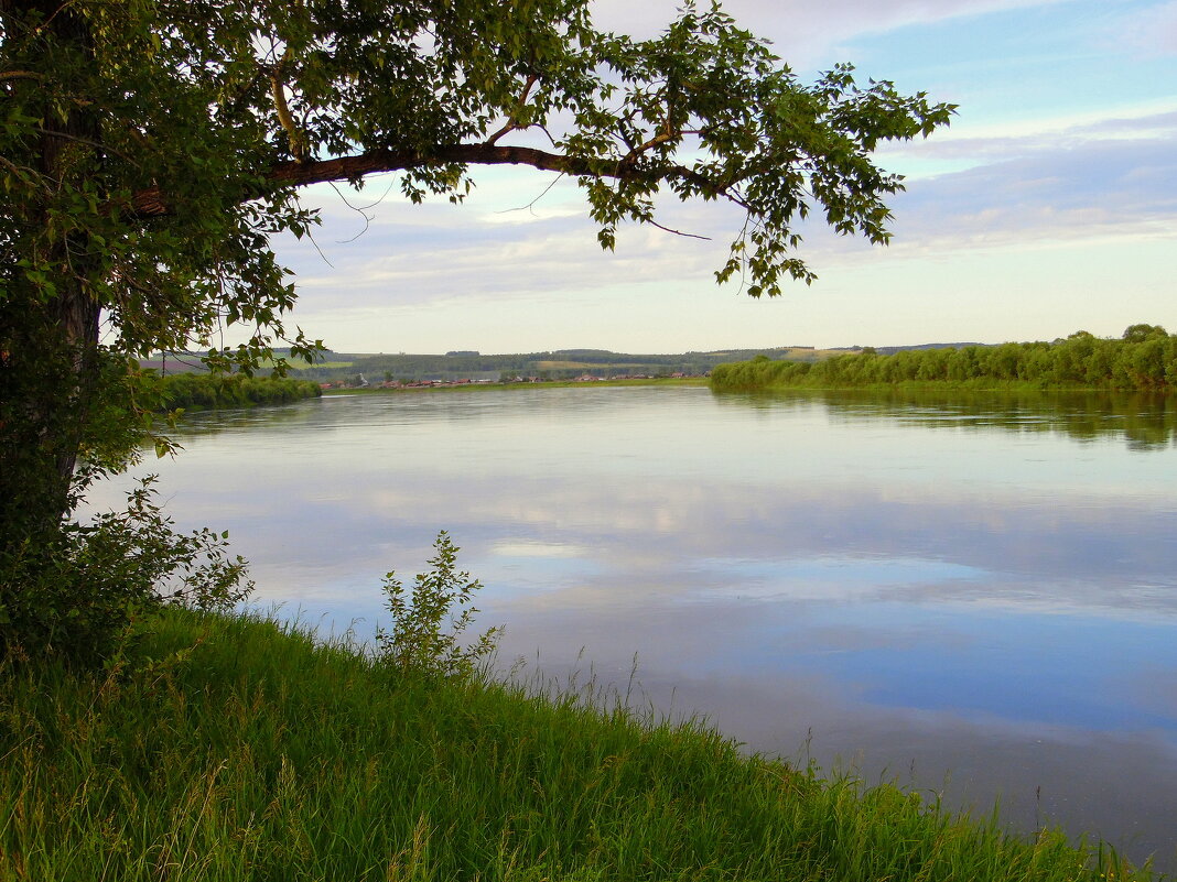 Лето на реке. - nadyasilyuk Вознюк