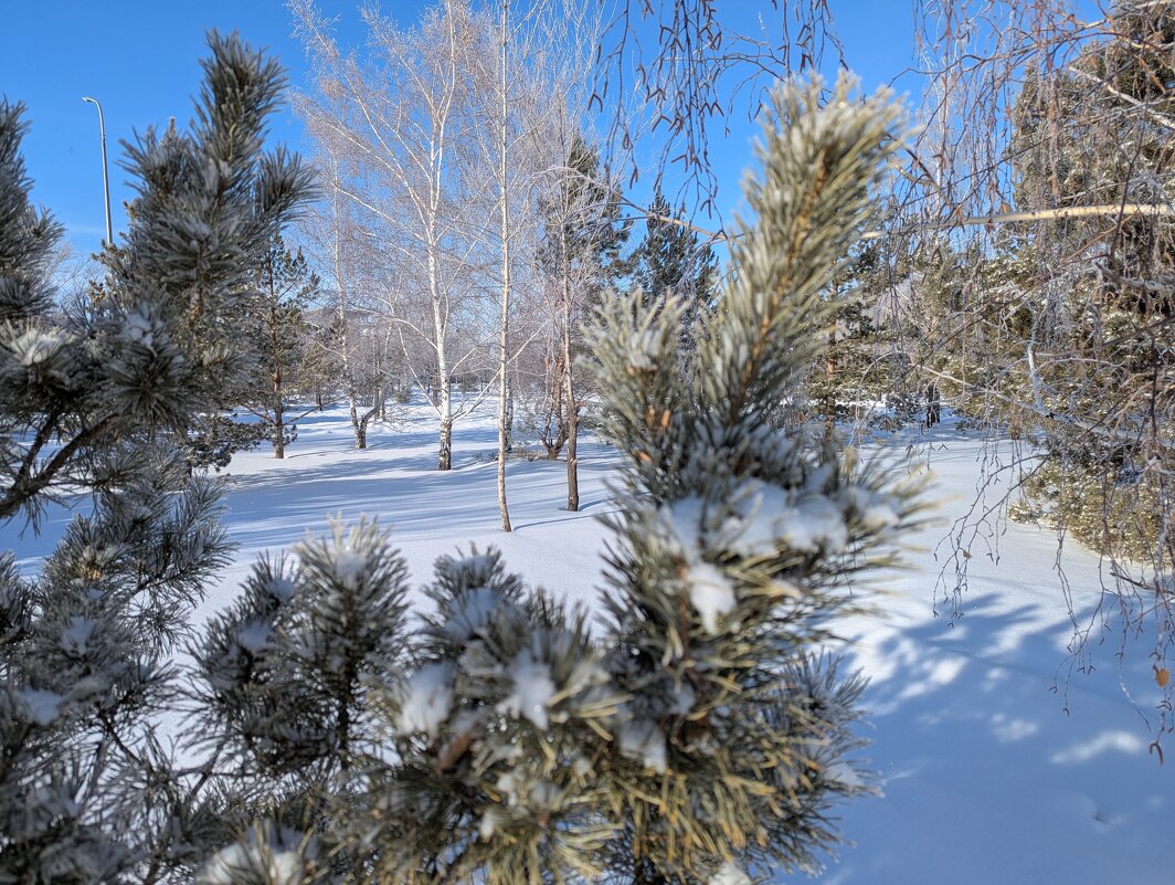 Февральский солнечный денёк... - Андрей Хлопонин