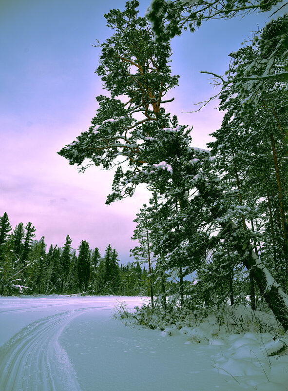 Вечер в тайге - юрий Амосов
