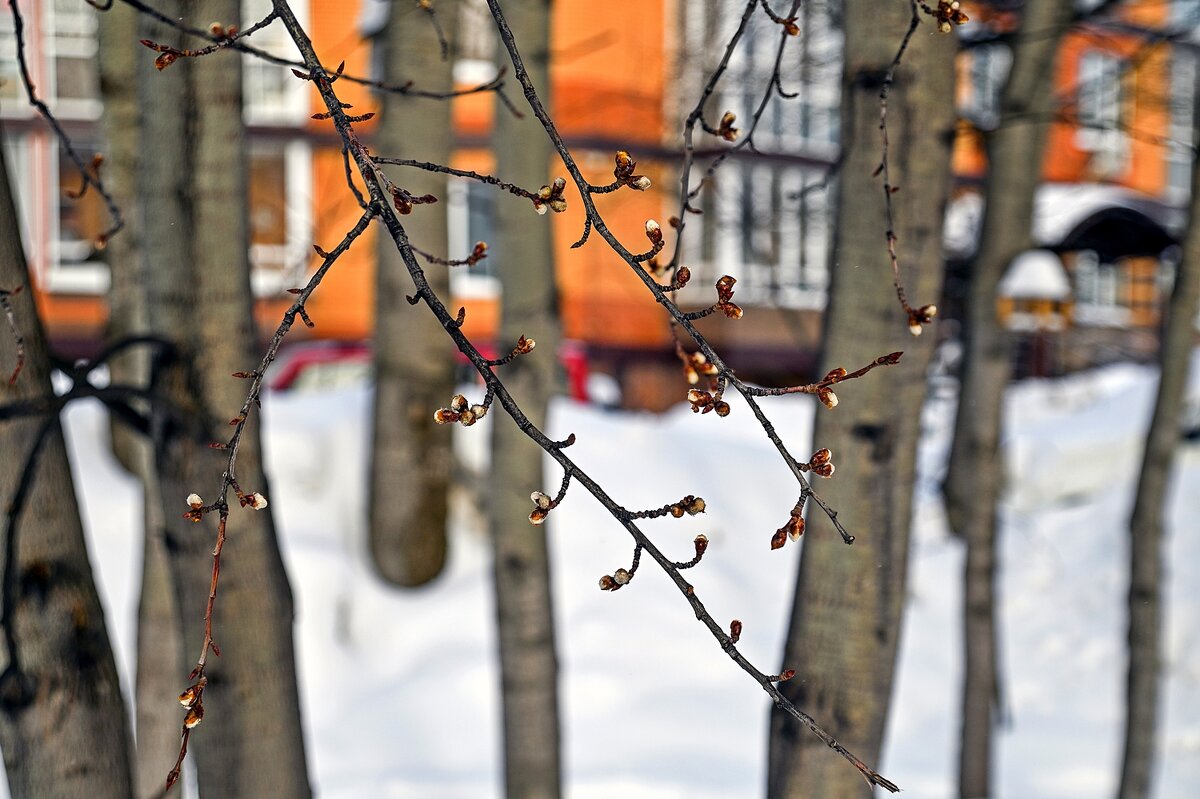 Скоро весна - Валерий Иванович