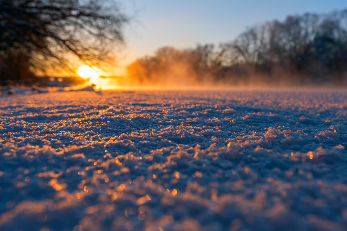 * - Виталий Емельянов