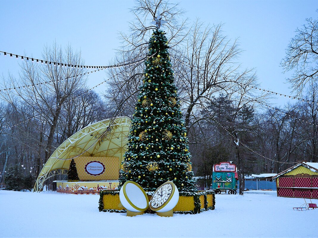 Ростов-на-Дону. Новогодняя ёлка в парке Октябрьской революции. - Пётр Чернега