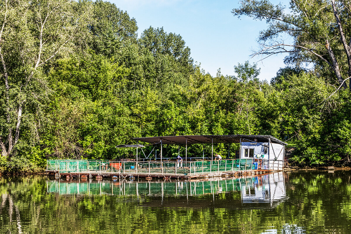 Усть-Каменогорск - Дмитрий 