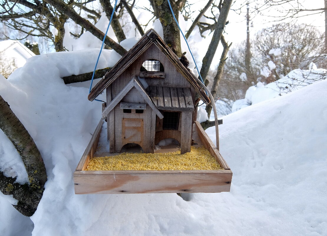 Готов и корм, и дом! - Люба 