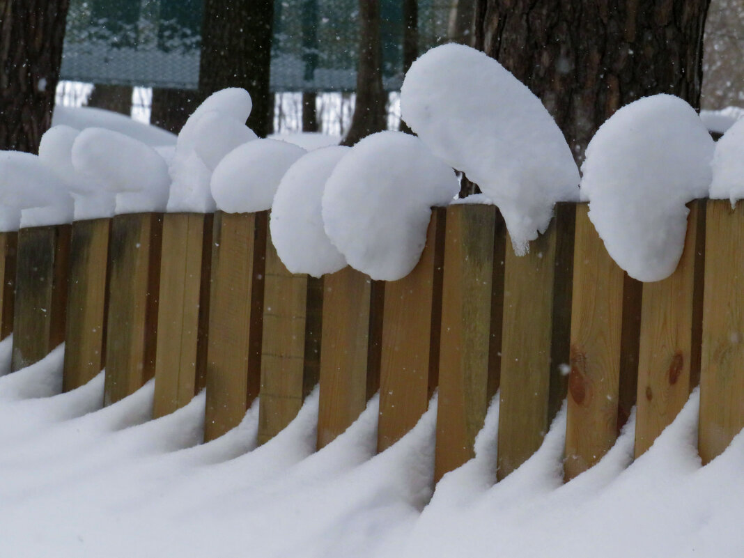 Снежная зима - Ната Волга