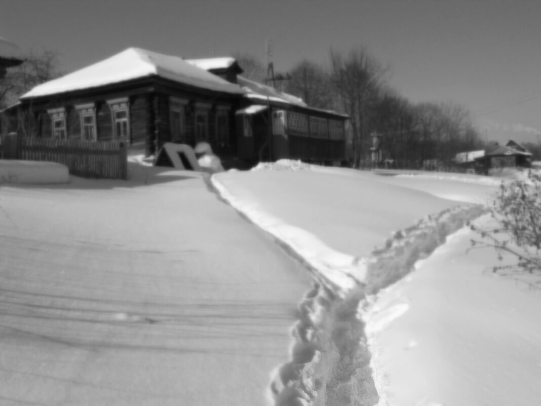 Дорожки к дому - Владимир Гришин