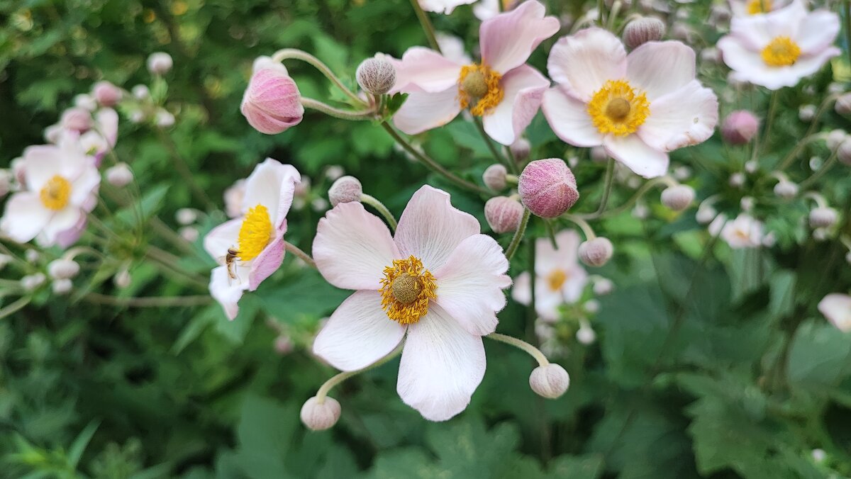 ,,, - Сергей Тимоновский