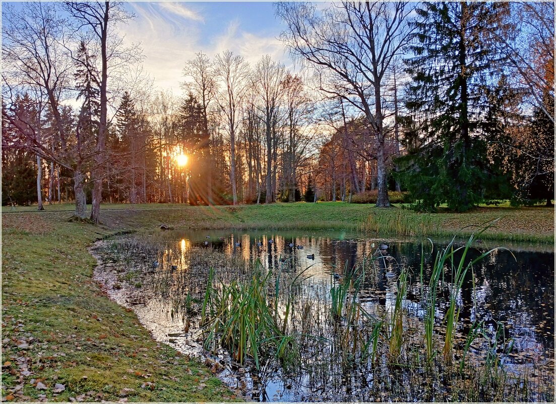 Красивый осенний вечер... - Лия ☼