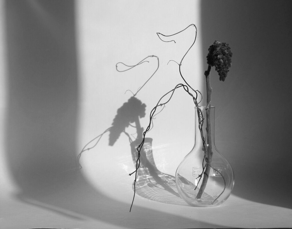 Минимализм с тенями... - Татьяна Гнездилова