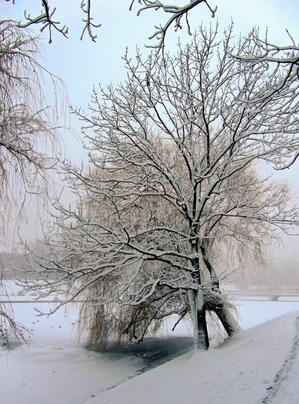 Над прудом - Сергей Карачин