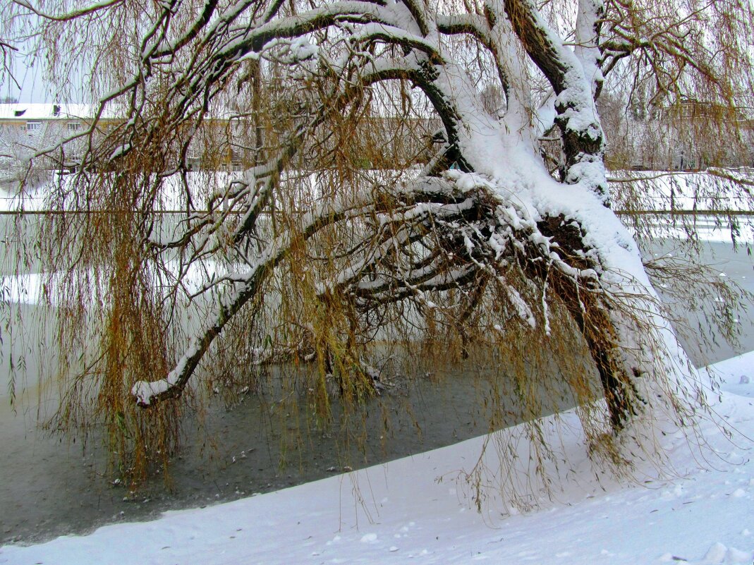 Наклонило голову - Сергей Карачин