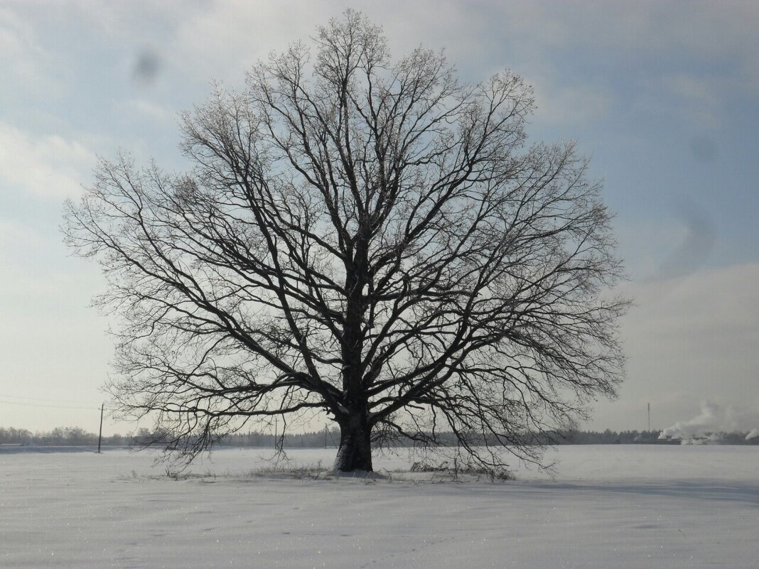 Одиночество - Виктор  /  Victor Соболенко  /  Sobolenko