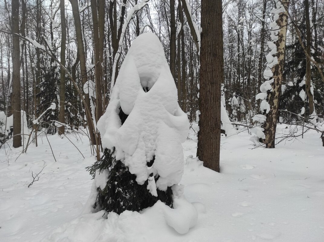 Патриарх - Игорь Ч.