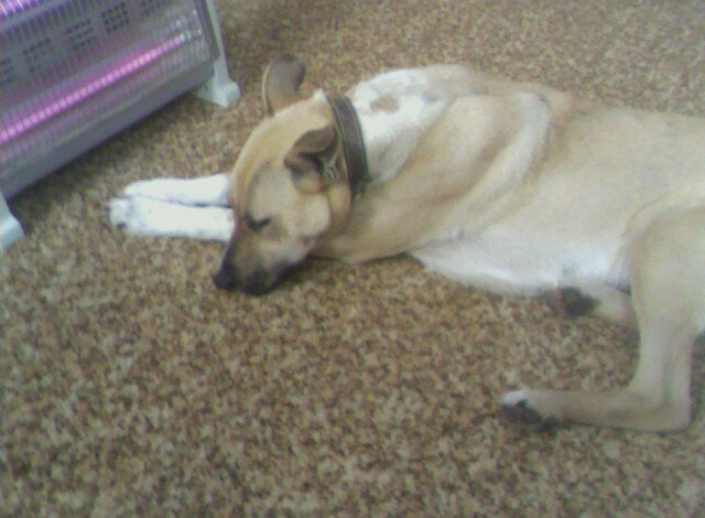 В морозный день... - Наталья 