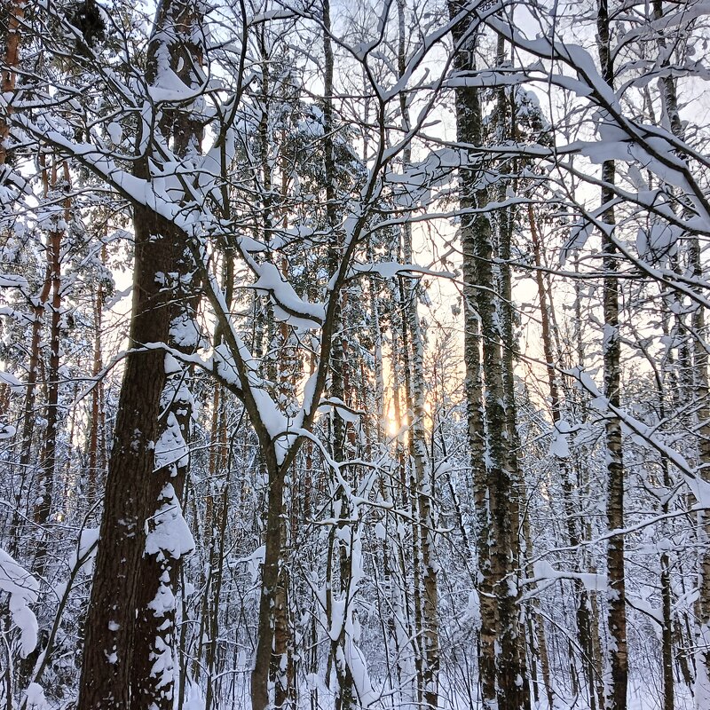 зимний закат - Владимир 