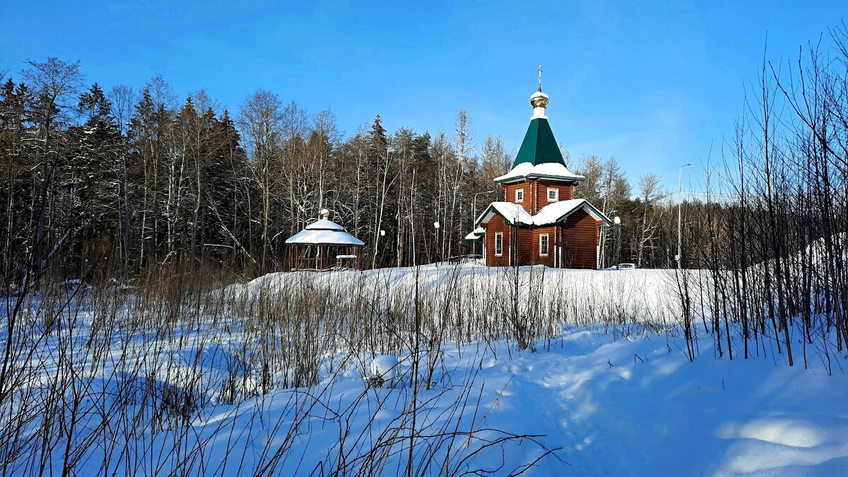 *** - веселов михаил 