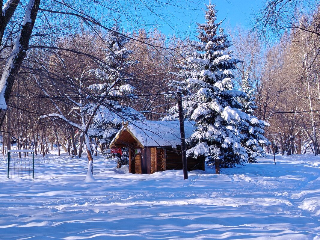 Избушка у ели - Надежда 