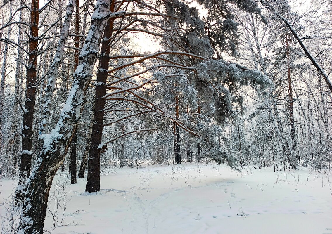 Пейзаж из таёжного города - Василий 
