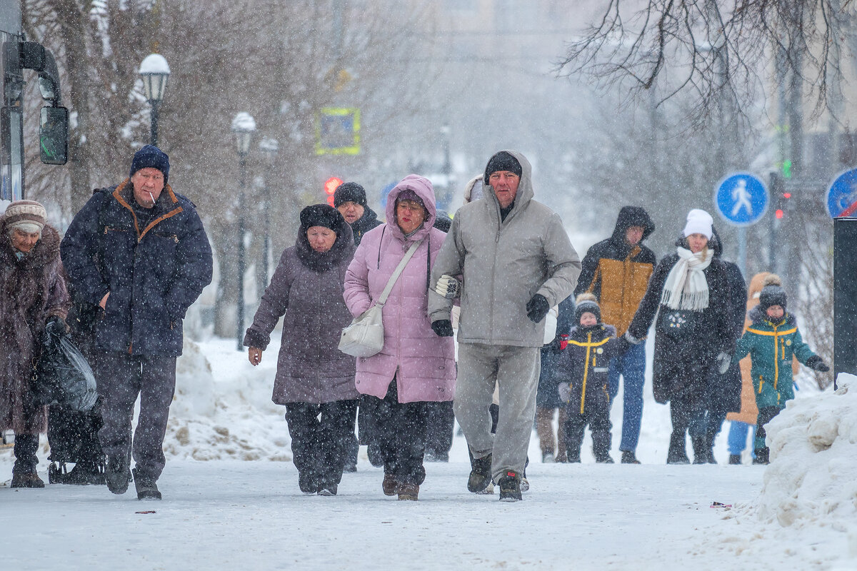 Опять снегопад. - Анатолий. Chesnavik.