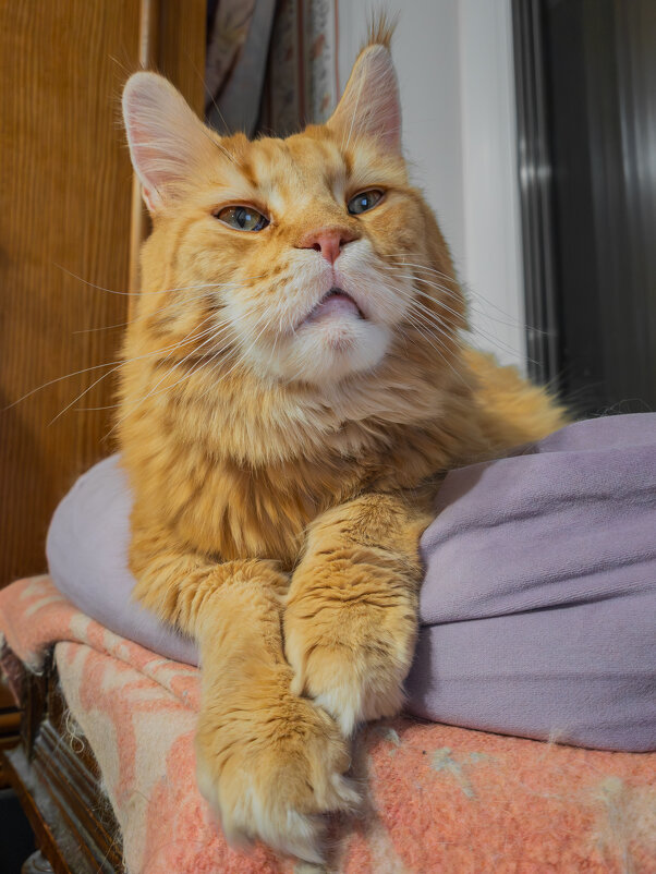 Василий. - Борис Калитенко