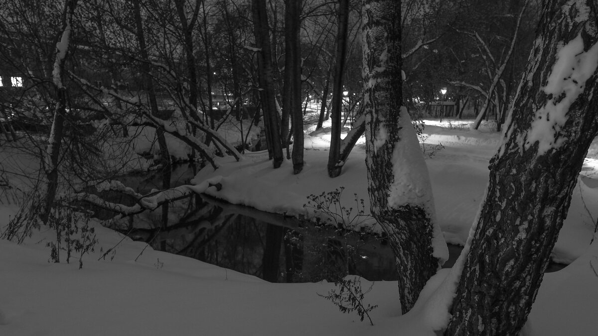 Вечер - юрий поляков