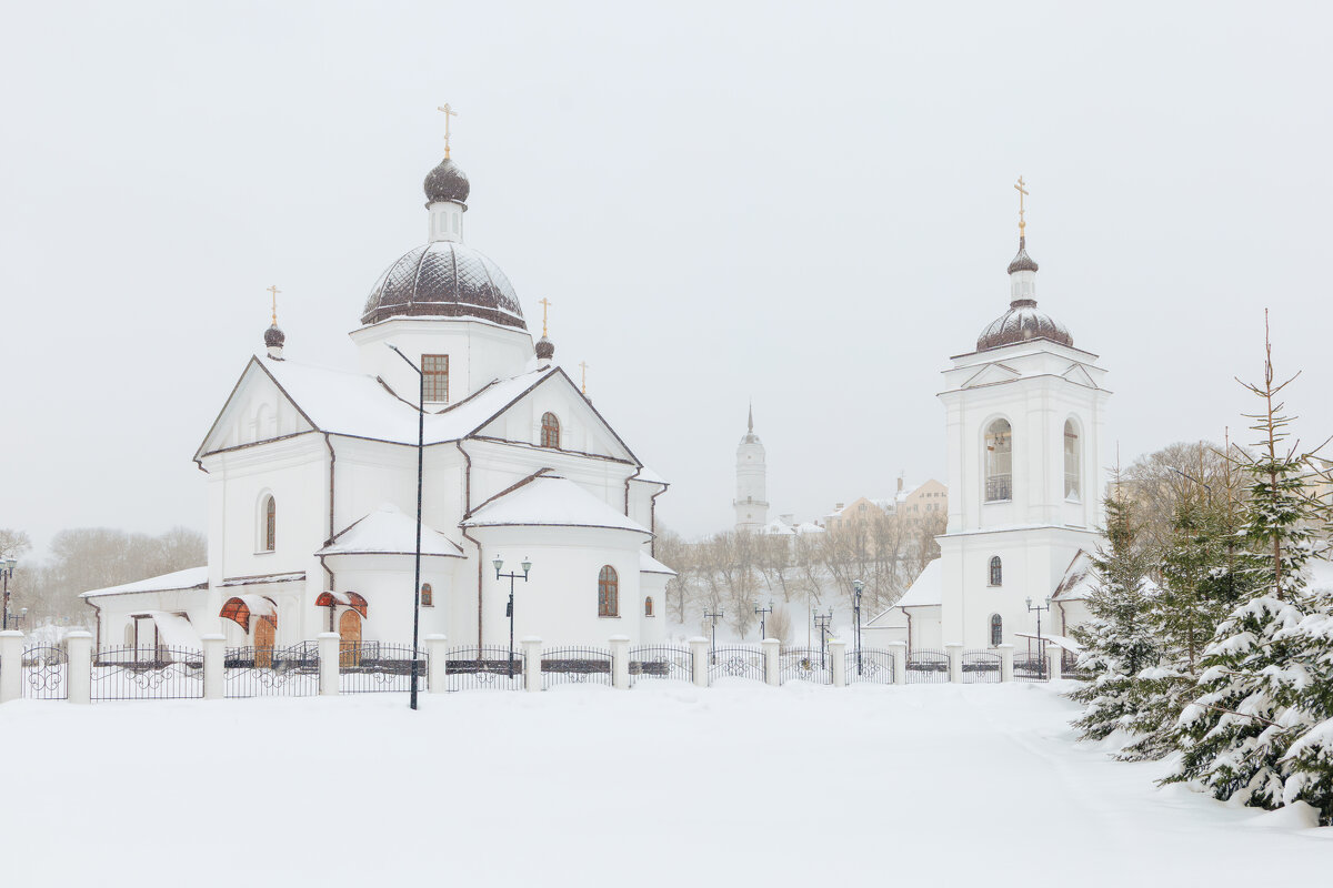 Храм в честь Покрова Пресвятой Богородицы в Могилёве - Вадим *