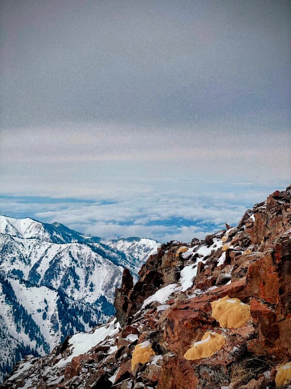 Горные прелести - Георгиевич 
