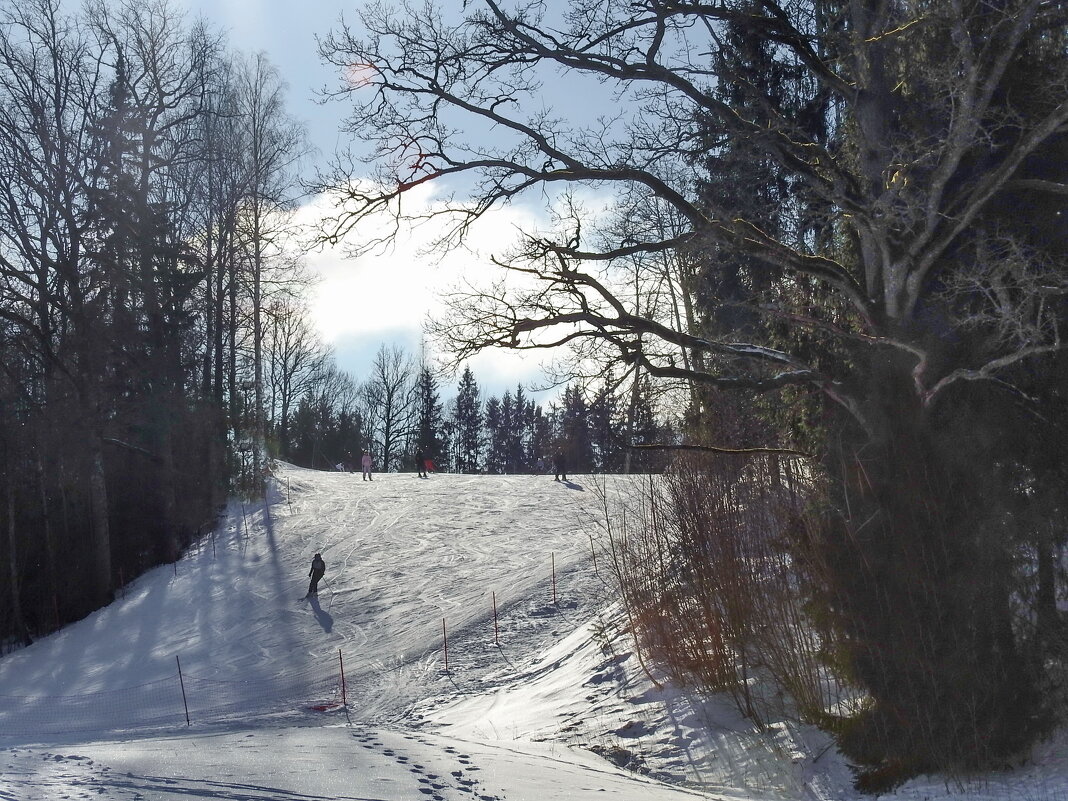 с горки с ветерком - ИННА ПОРОХОВА