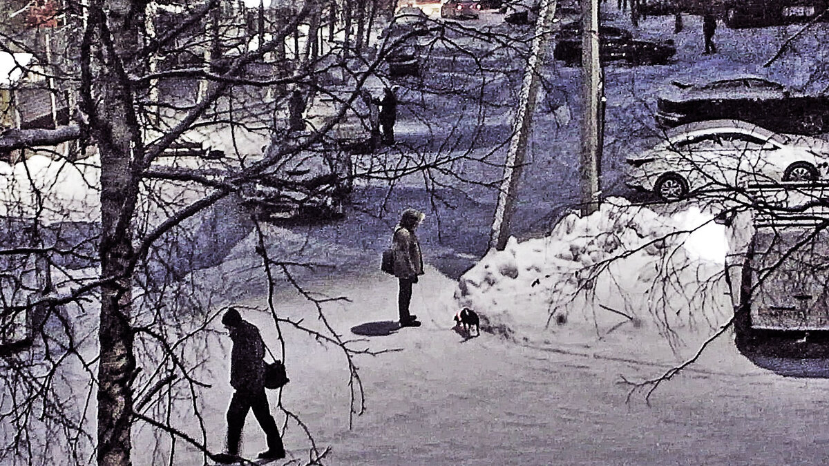 Февраль..Раннее утро в нашем дворе! - Владимир 