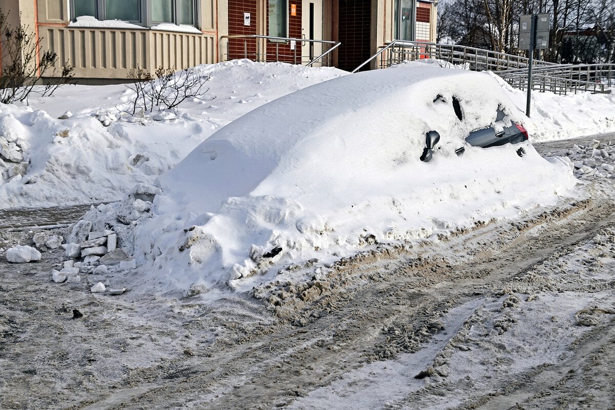 Подснежник - Валерий Иванович